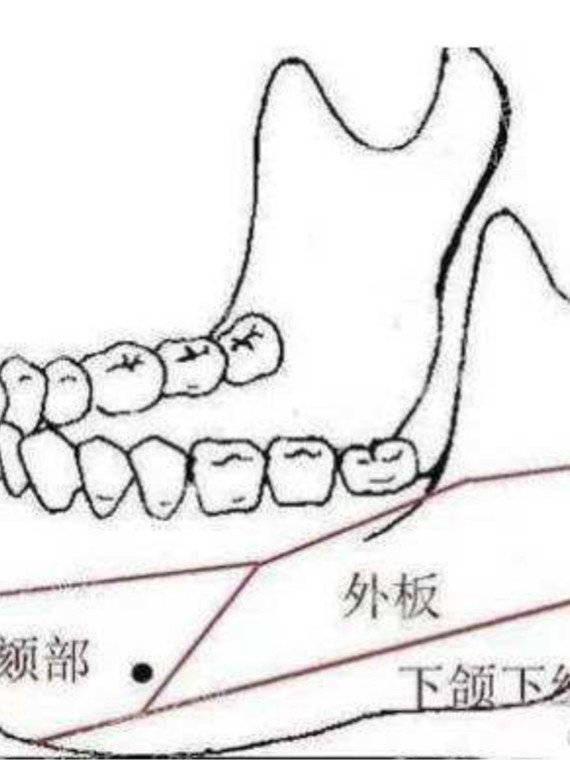 先来康一下它在下颌骨中的位置—下颌支和下颌体两个部位构成下颌角