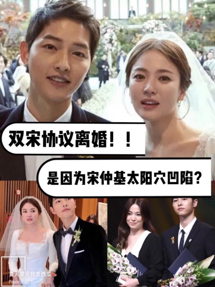 导致双宋离婚的原因之一