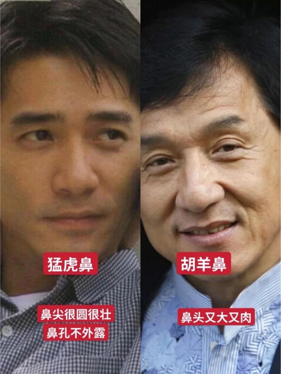 和脑门连在一起 2鹰钩鼻:吴昕鼻尖仿佛一个钩子              3胡羊鼻