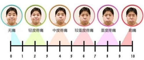 数字分级法脸谱图
