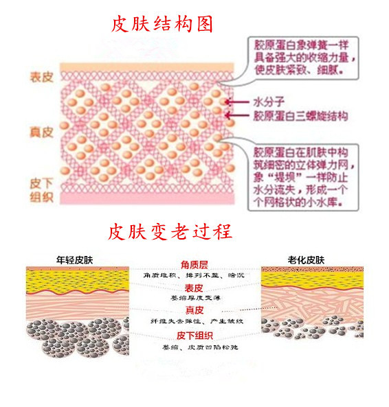随着年龄的增加,皮肤也会相对老化.