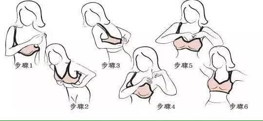 【乳房的健康课题】