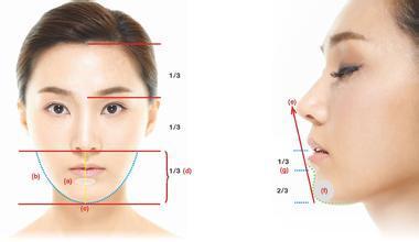 标准,面下部比例要占面部长度的三分之一,下巴的长度从下唇下缘起测量
