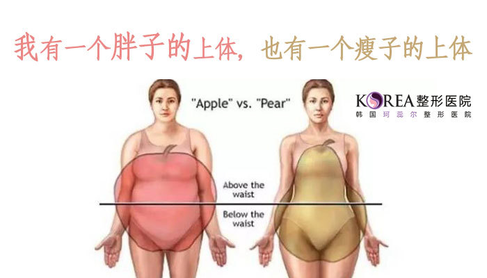【韩国korea整形医院】我有一个胖子的上体,也有一个瘦子的上体