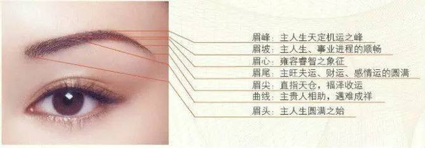 今天你做的不是眉毛,而是你的运势!