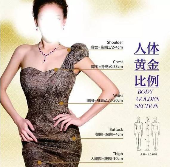 医美数学,试讲你不得不知道的标准科普!整形美学教案模板图片