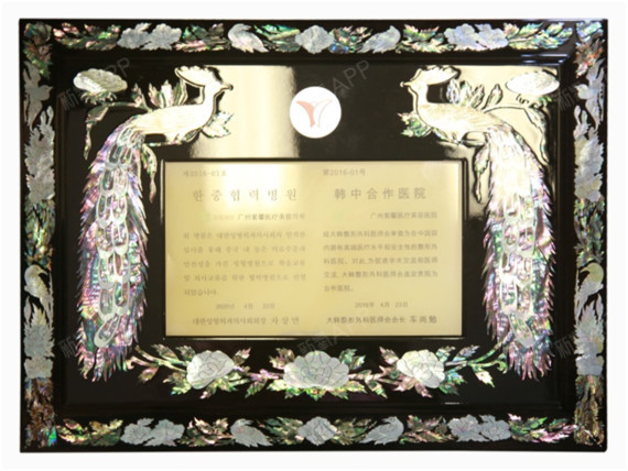 广州紫馨荣膺大韩整形外科医师会中国首家合作