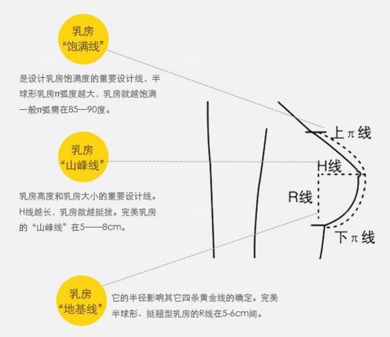 什么?中国女性胸部平均a杯!难道还有凹进去的?