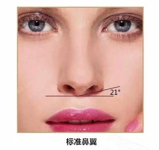 爱美尔八度艺术美鼻,360度完美雕刻你的鼻型