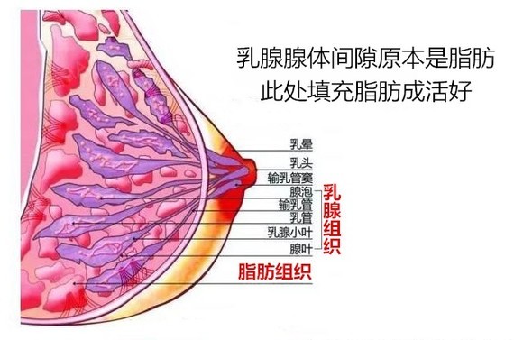 新氧 - 氧气姐 | 胸部 | 隆胸 新氧 - 氧气姐 | 胸部 | 隆胸