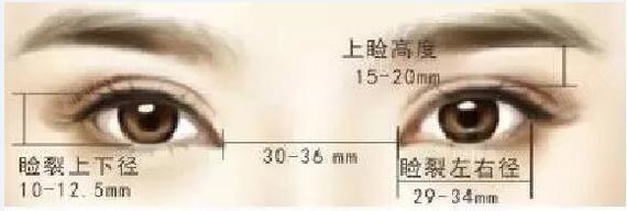 新氧 - 氧气姐 | 双眼皮 | 埋线双眼皮 | 切开双眼皮 新氧 - 氧气姐 | 双眼皮 | 埋线双眼皮 | 切开双眼皮