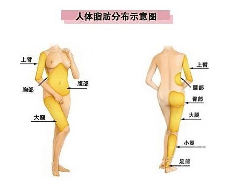 新氧 - 氧气姐 | 胸部 | 武松娱乐隆胸 | 整形纯干货 | 名医直通车 新氧 - 氧气姐 | 胸部 | 武松娱乐隆胸 | 整形纯干货 | 名医直通车