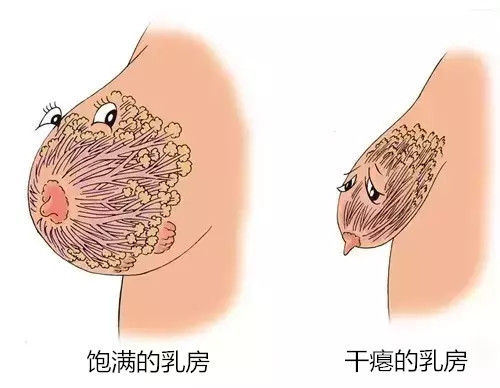 新氧 - 氧气姐 | 胸部 | 武松娱乐隆胸 | 整形纯干货 | 名医直通车 新氧 - 氧气姐 | 胸部 | 武松娱乐隆胸 | 整形纯干货 | 名医直通车