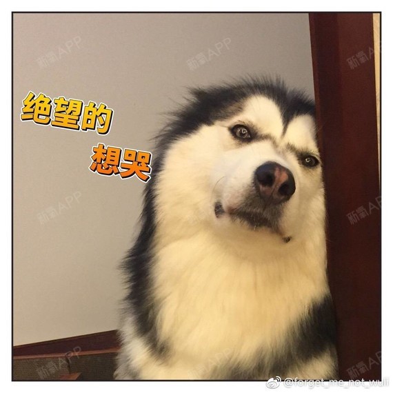 玛丽莲梦露不是纯天然?整容X光片曝光!在网红