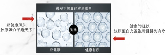 新氧 - 新氧医美探子 | 新氧 - 新氧医美探子 |