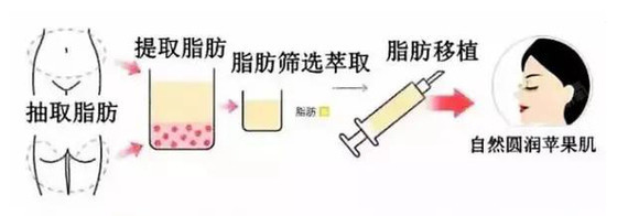 新氧 - 新氧医美探子 | 新氧 - 新氧医美探子 |
