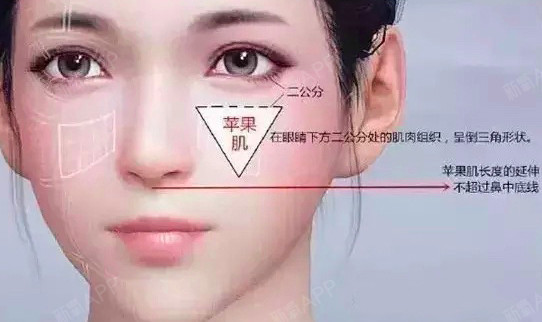 新氧 - 新氧医美探子 | 新氧 - 新氧医美探子 |