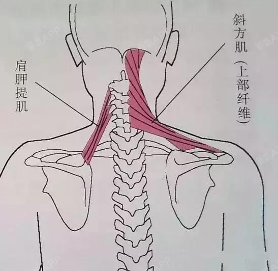 长沙科颜美整形美容注射瘦肩肌第0天美丽日记