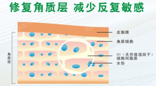 新氧 - 新氧医美探子 | 北京同城 新氧 - 新氧医美探子 | 北京同城