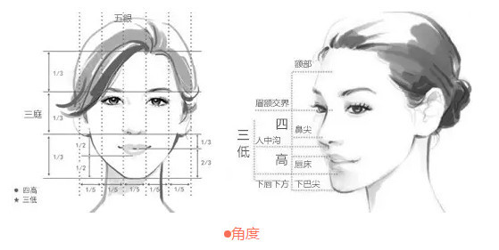 面部长度的三分之一,宽度为一只眼的宽度,也就是符合"三庭五眼"的比例