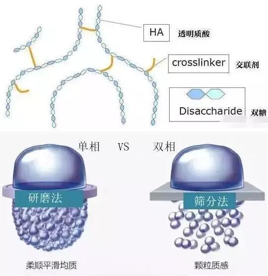 什么是单相玻尿酸?