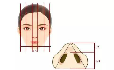 漂亮的鼻翼是这样的