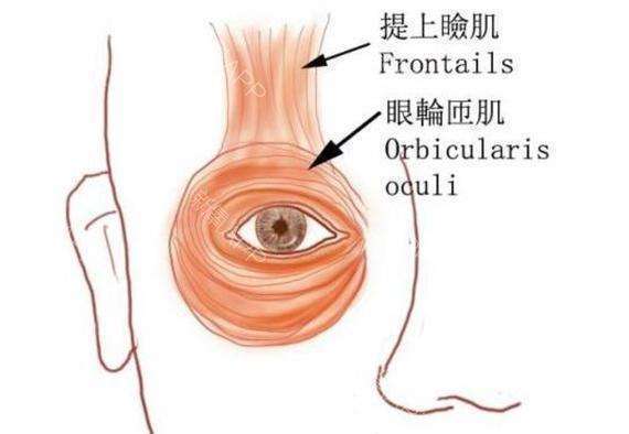 最近被抖音迷住了,它已经成功的把常年占据每