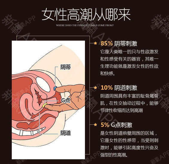 该区域由复杂的血管,神经,尿道旁腺环绕腺管,膀胱颈组织而成,起