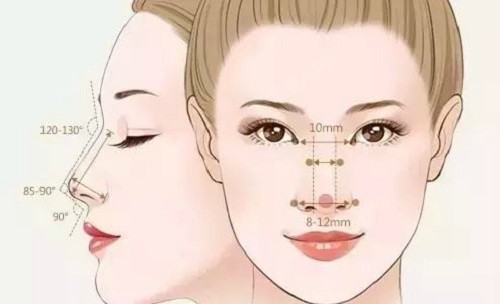 对于好看鼻子的标准,大多数人都会认同一条标