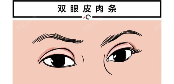 氧气姐美丽日记 氧气姐美丽日记