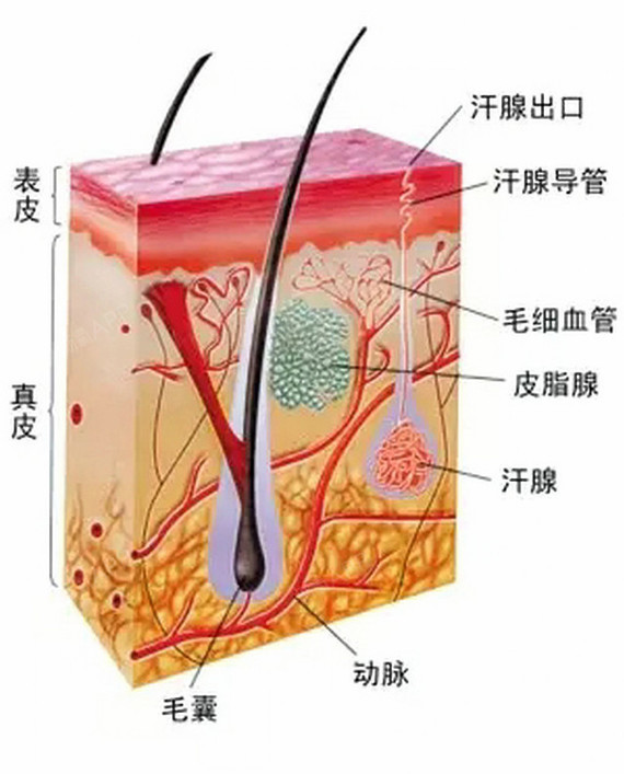 车辆四个基本险 机动车强制险