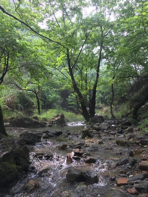 黄石大泉沟风景区离武汉一个多小时的车程,有山有水,_圈子-新氧美容