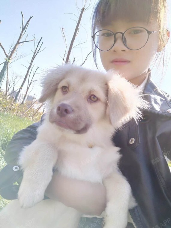 15163537156098.code.monkey注射祛疤第43