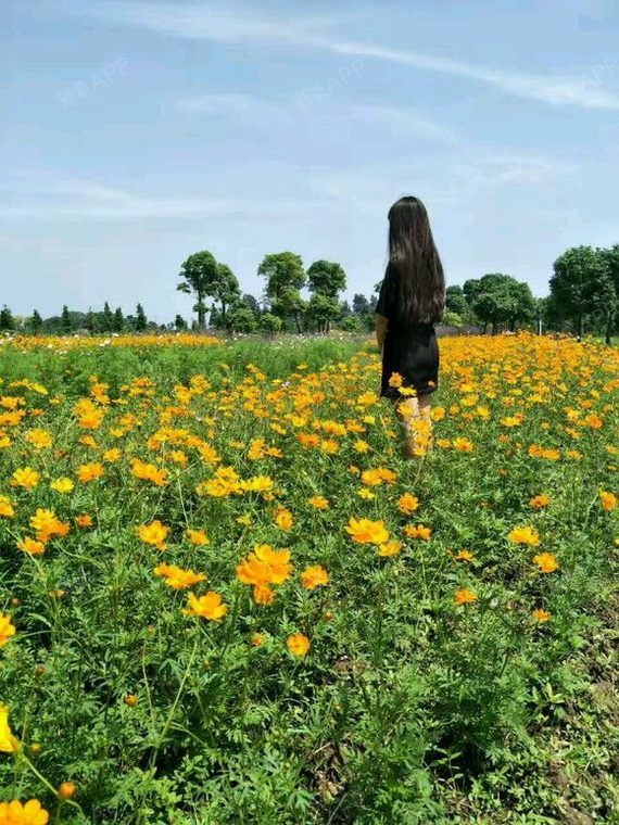 AA君手术紧缩阴道第39天美丽日记-新氧美容整