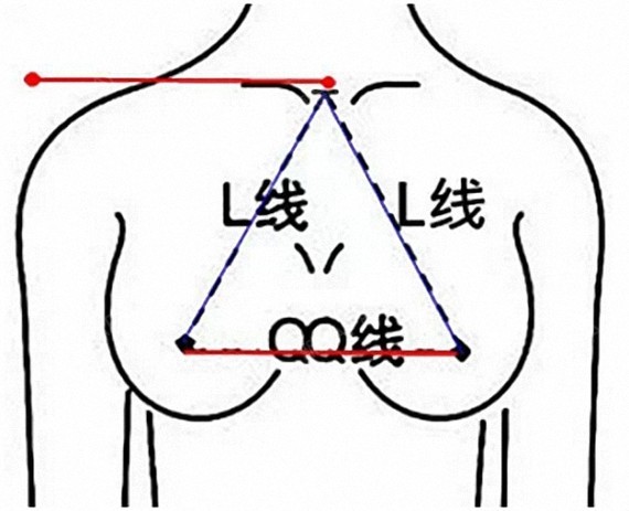 其次,胸部合适的位置:乳房一般位于第二至第六肋间,内侧到胸骨