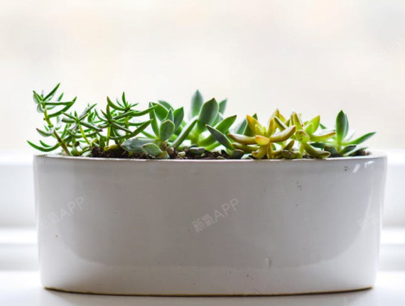 氧气9047751527634684处女膜修复第1天美丽