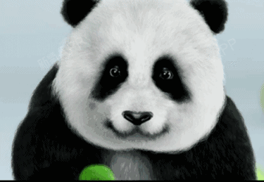 黑眼圈已经成为每个姑娘关注的问题,大部分人都存在黑