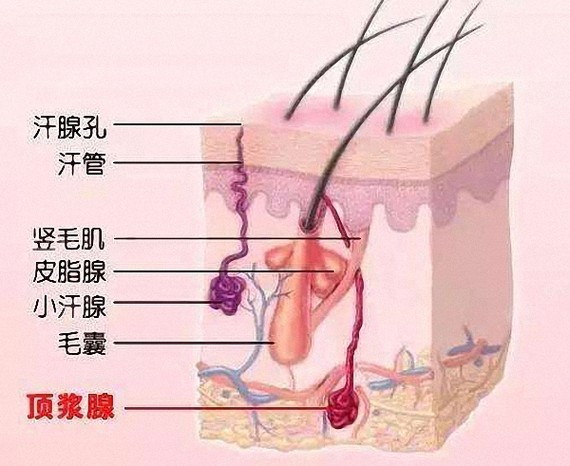 一,"瘦脸"界扛把子,小v脸轻松get姐今天想就着_圈子