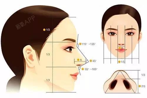 什么样的鼻子才好看,你的鼻子符合标准吗