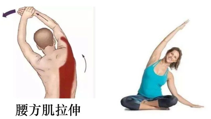 侧腹的拉伸,可以参考腰方肌的拉伸.