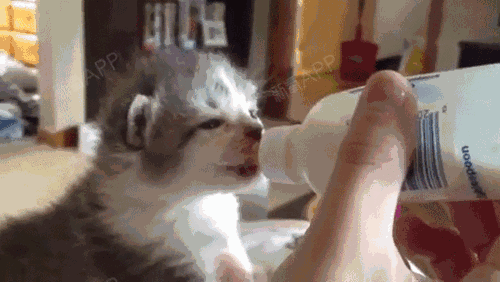 每个女人都有一个梦想:_圈子-新氧