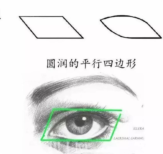 公认好看的眼型基本都是靠近平行四边形