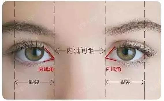 内眼角or外眼角,开哪个会更好?