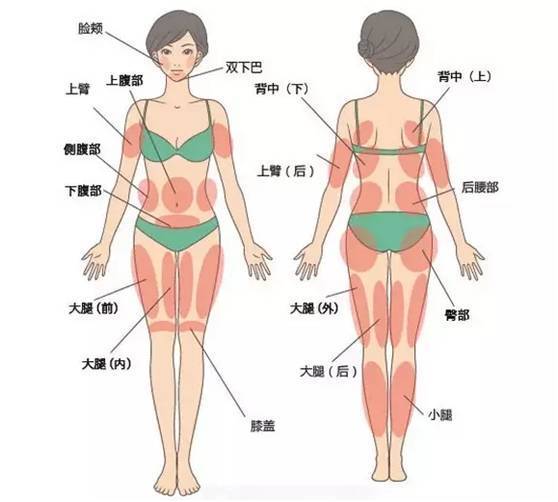腰粗,腿粗,手臂粗,满身的肥肉怎么办?