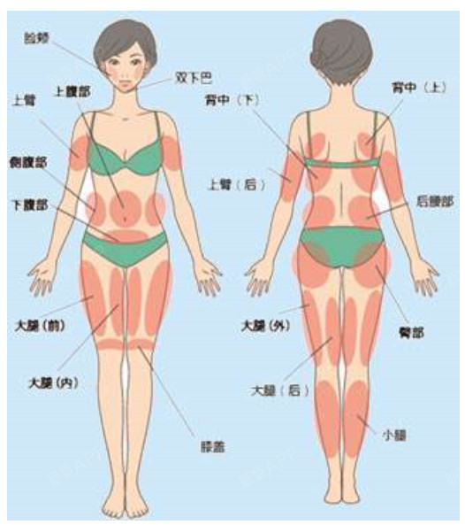 腰腹:左上腹,左下腹,右上腹,右下腹, 两个侧腰 两个后腰.