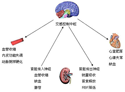 【技术分析篇】对吸脂中用的肿胀液你心里要有点数!