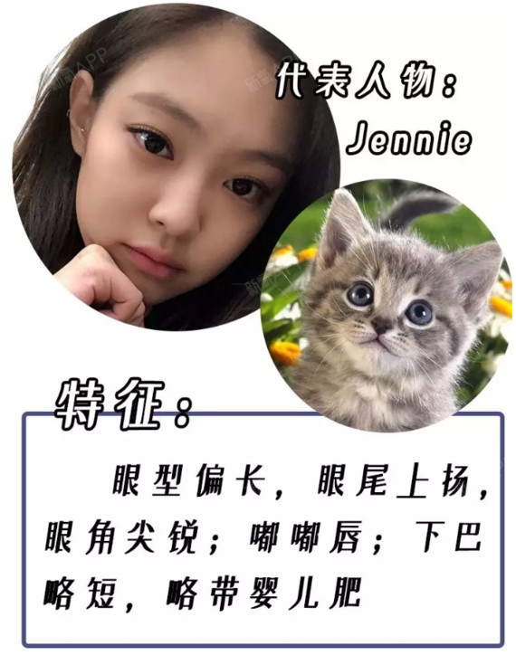 美商提商#叮咚!你的猫系脸计划点击领取