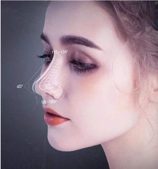鼻子美的标准是啥啊
