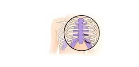 肋软骨,耳软骨隆鼻材料有什么区别?