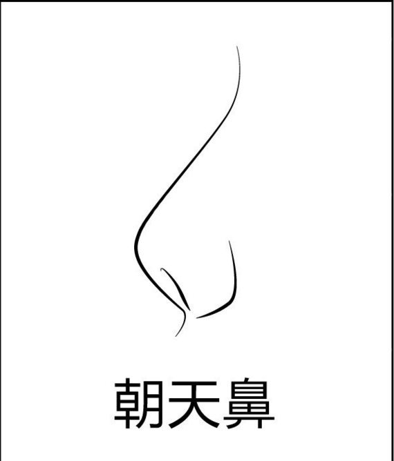 廉惜然院长的科普时间: 财运好不好,鼻子很重要